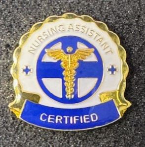 Certified Nursing Assistant Gold Pin 