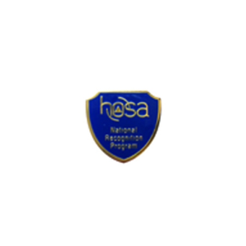 HOSA National Recognition Program Pin 