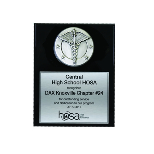 Recognition Plaque HOSA 
